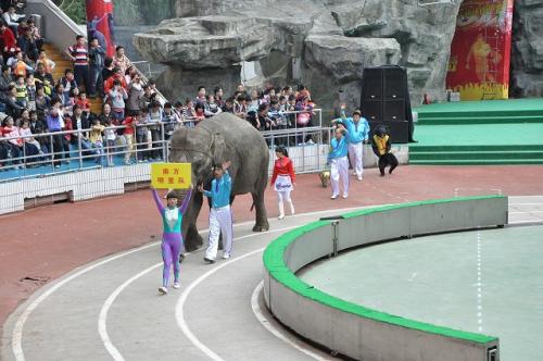 上海野生動物園２５