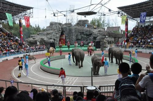 上海野生動物園２６