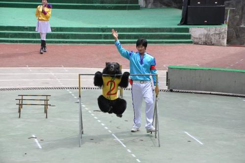 上海野生動物園２７