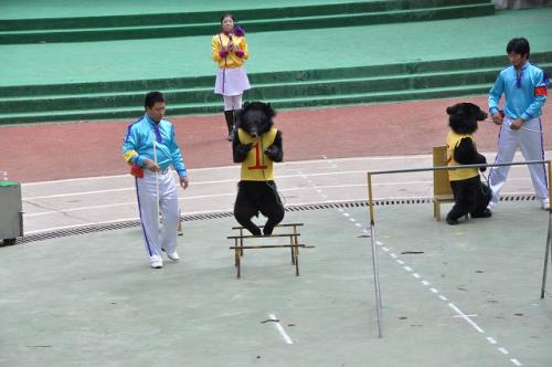 上海野生動物園２８