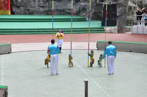 上海野生動物園３１