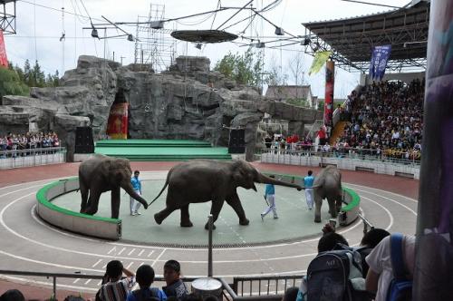 上海野生動物園３３