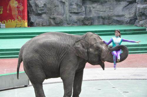 上海野生動物園３５