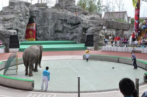 上海野生動物園３７