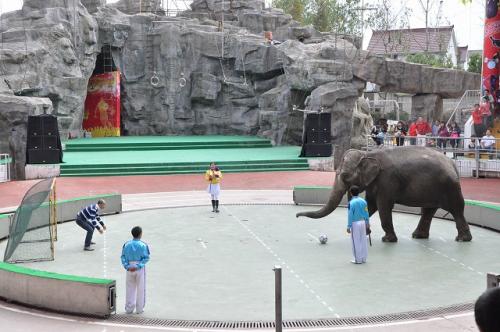 上海野生動物園３８