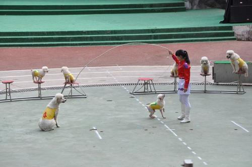 上海野生動物園３９