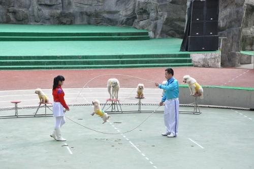 上海野生動物園４０