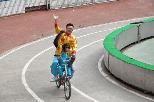 上海野生動物園４５