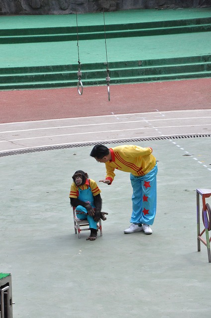 上海野生動物園４９