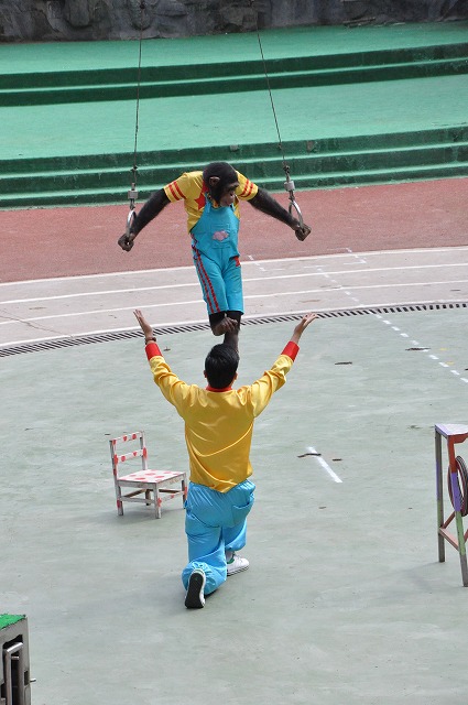 上海野生動物園５３