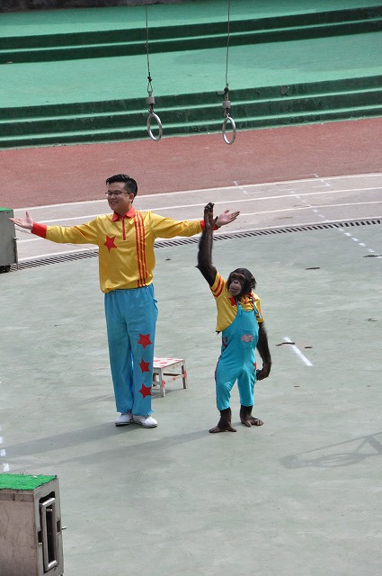 上海野生動物園５４