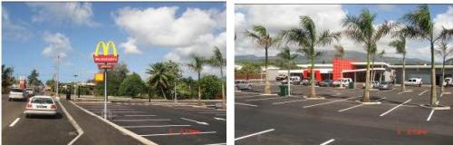 タラパオ マクドナルド