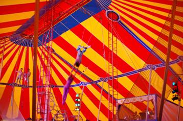 タヒチ サーカス