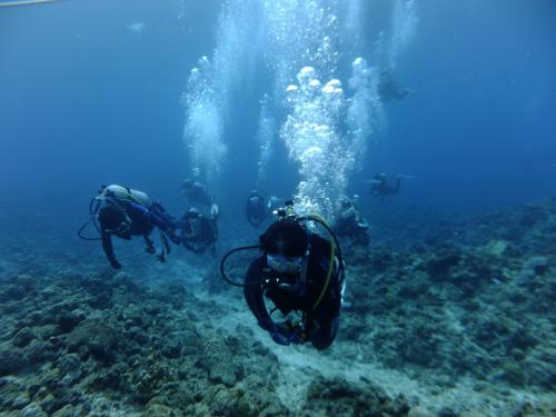 泳いでます〜〜☆