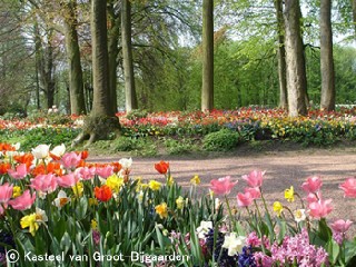 グロート・ベイハールデン城2