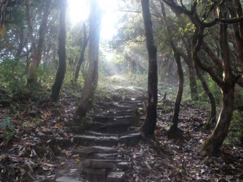 Ｇｈｏｒｅｐａｎｉ ５-２-１