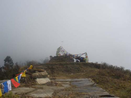 Ｇｈｏｒｅｐａｎｉ ５-２-２