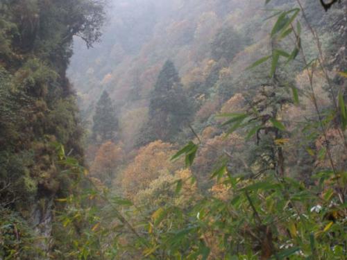 Ｇｈｏｒｅｐａｎｉ ５-２-３