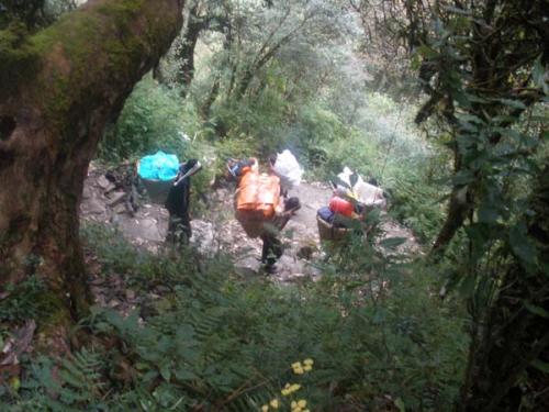 Ｇｈｏｒｅｐａｎｉ ５-２-５