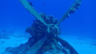 サイパンダイビング