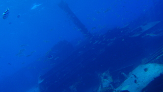 サイパンダイビング