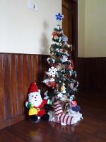Ｘ’ｍａｓ　Ｔｒｅｅ　１