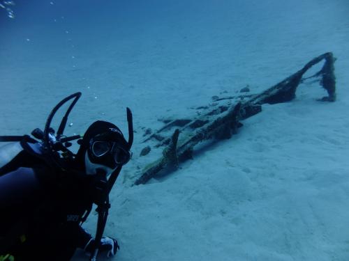 ドラゴンレディー