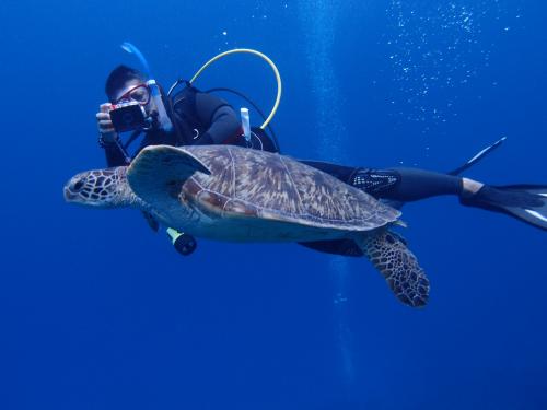 カメを撮るパート2