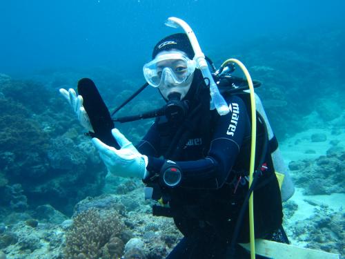 ナマコちゃんナウ