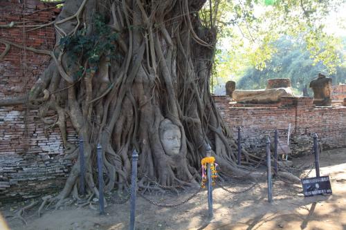 ワットマハタート