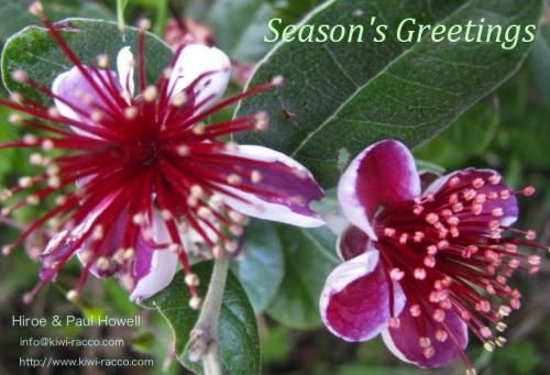 グリーティング