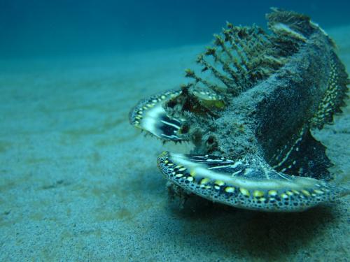 こっち向いて〜