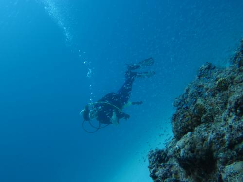 お上手ダイバー