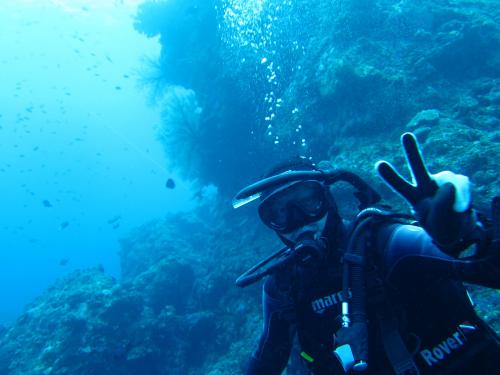 初ファンダイビング