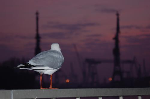 港町のハンブルグ