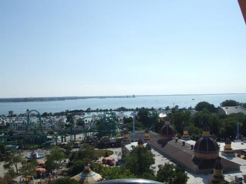 シダーポイント