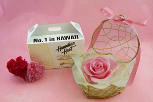 ハワイアンホースト