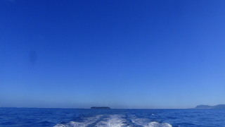 サイパンダイビング