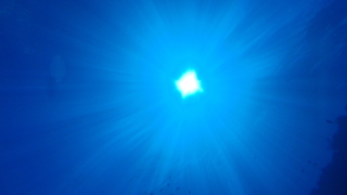 サイパンダイビング