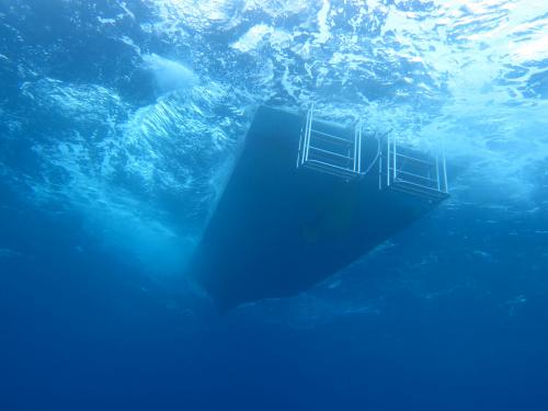 荒波にも負けず