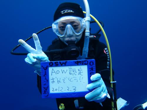 レベルアップおめでとう