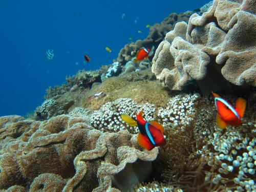 いっぱいです。