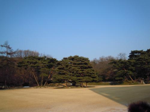 青瓦台は、今日も青かった、、、
