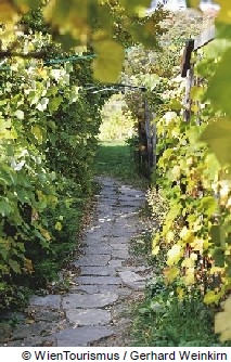 ワイン愛好家のためのビッグイベント