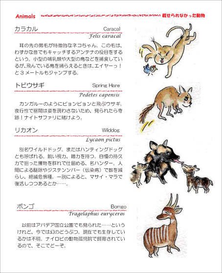 野生どうぶつ1