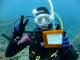 認定ダイビング