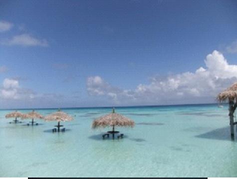 タヒチ ファカラバ島 ダイビング