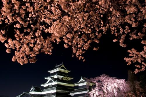 春の観光キャンペーン「信州花三昧」9