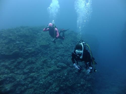 飛んでるみたい