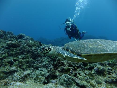 浦島太郎気分で